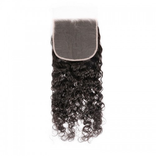 Virgin Hair Water Wave 4x4 5x5 6x6 7x7 Transparent Lace Closure | Human Hair Wig | Lace Front